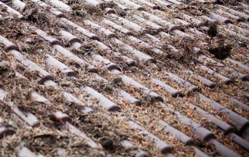 Primsland roof cleaning companies